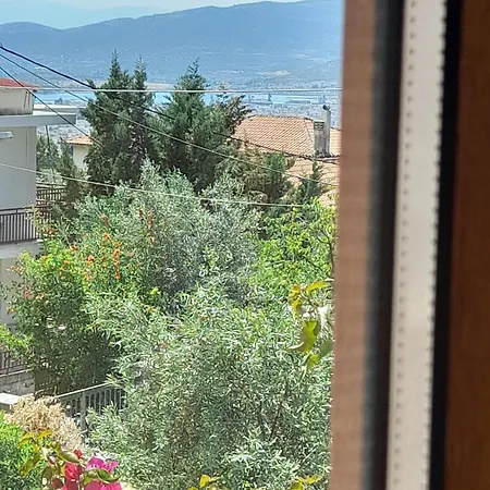 πέτρινη φωλιά 아노 볼로스