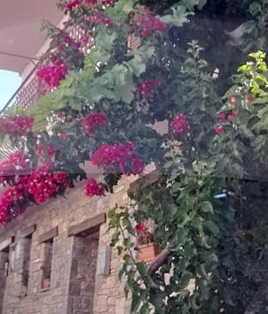 πέτρινη φωλιά 아파트 *