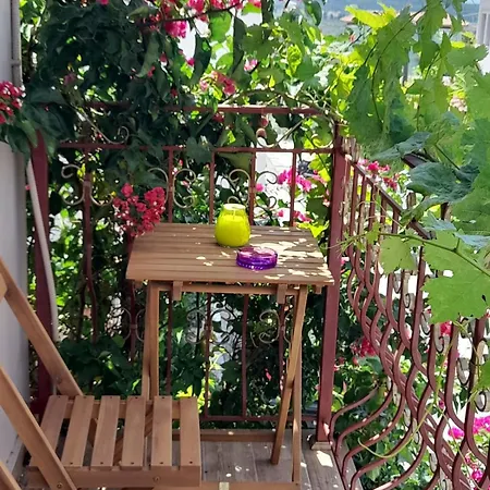 πέτρινη φωλιά *