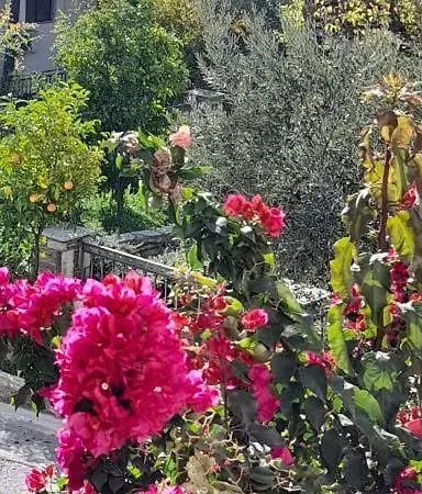 πέτρινη φωλιά 아파트