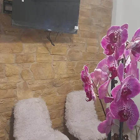πέτρινη φωλιά *
