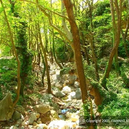 아파트 πέτρινη φωλιά 아노 볼로스
