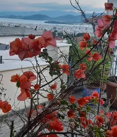 πέτρινη φωλιά *