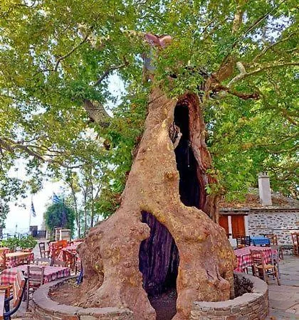 πέτρινη φωλιά 아파트