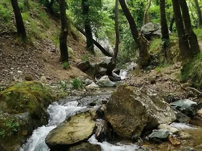 아파트 πέτρινη φωλιά 아노 볼로스