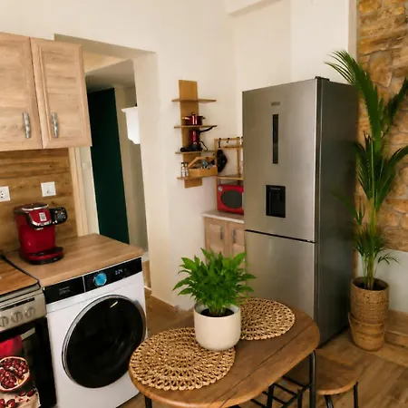 πέτρινη φωλιά Apartament *